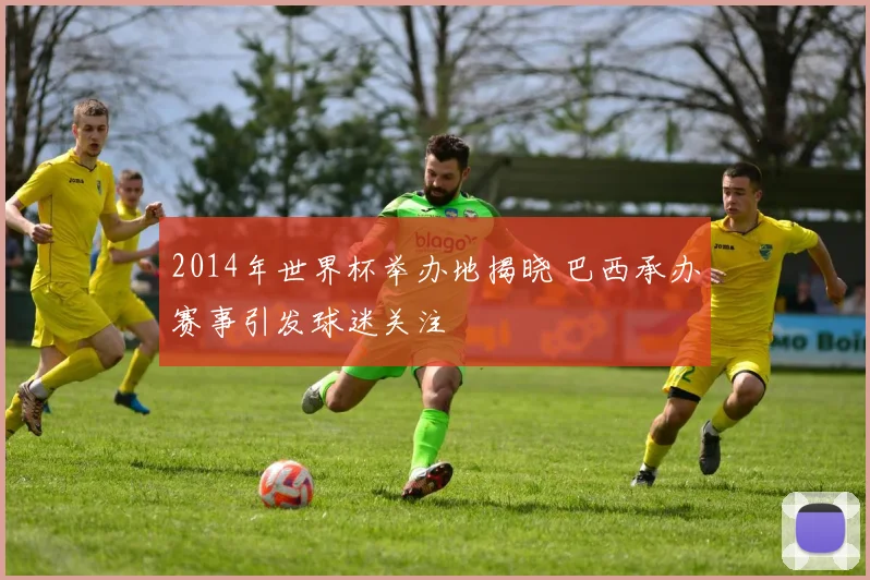 2014年世界杯举办地揭晓 巴西承办赛事引发球迷关注