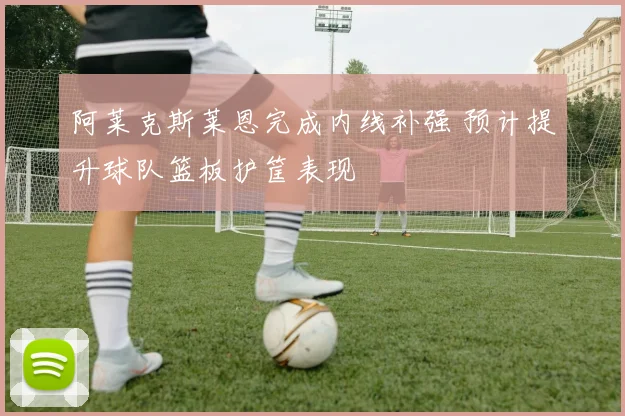 阿莱克斯莱恩完成内线补强 预计提升球队篮板护筐表现